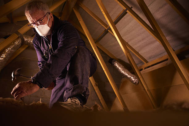 Best Types of Insulation in Battle Ground, WA